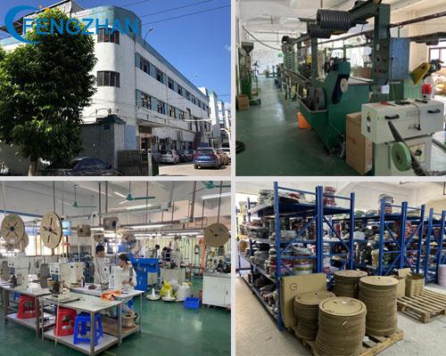 Dongguan Fengzhan Electronic Technology Co., Ltd